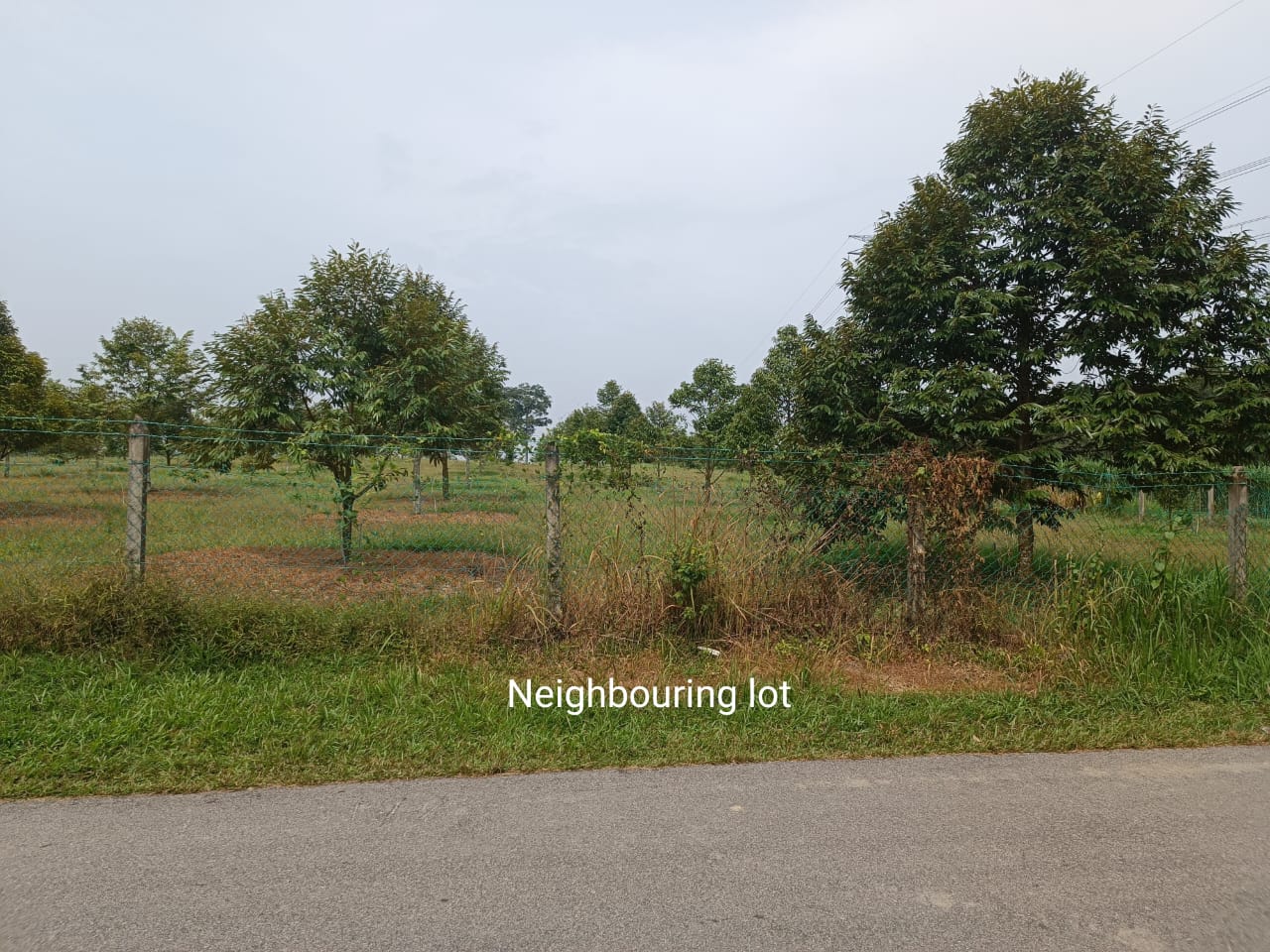 Very Good Landscape and Accessibility Freehold Agriculture Land at Tehel Melaka for Sales image