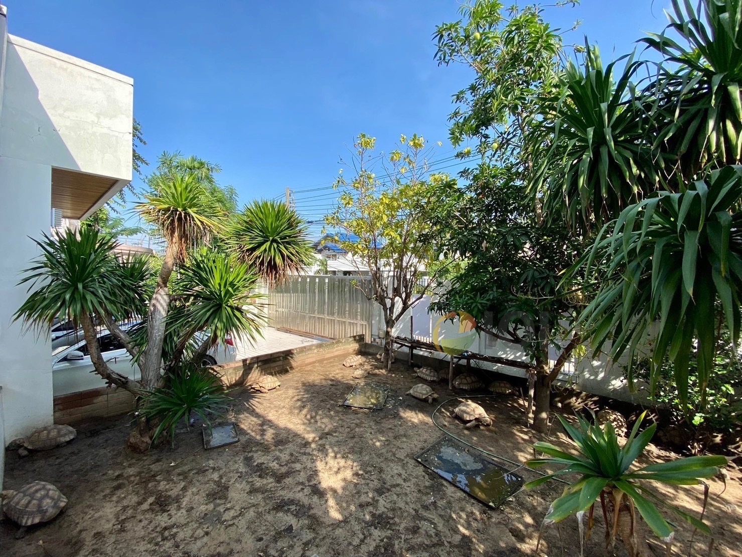 Two-storey detached house for rent modern style Sammakorn Village 1, Soi.A5, Ramkhamhaeng 112 image