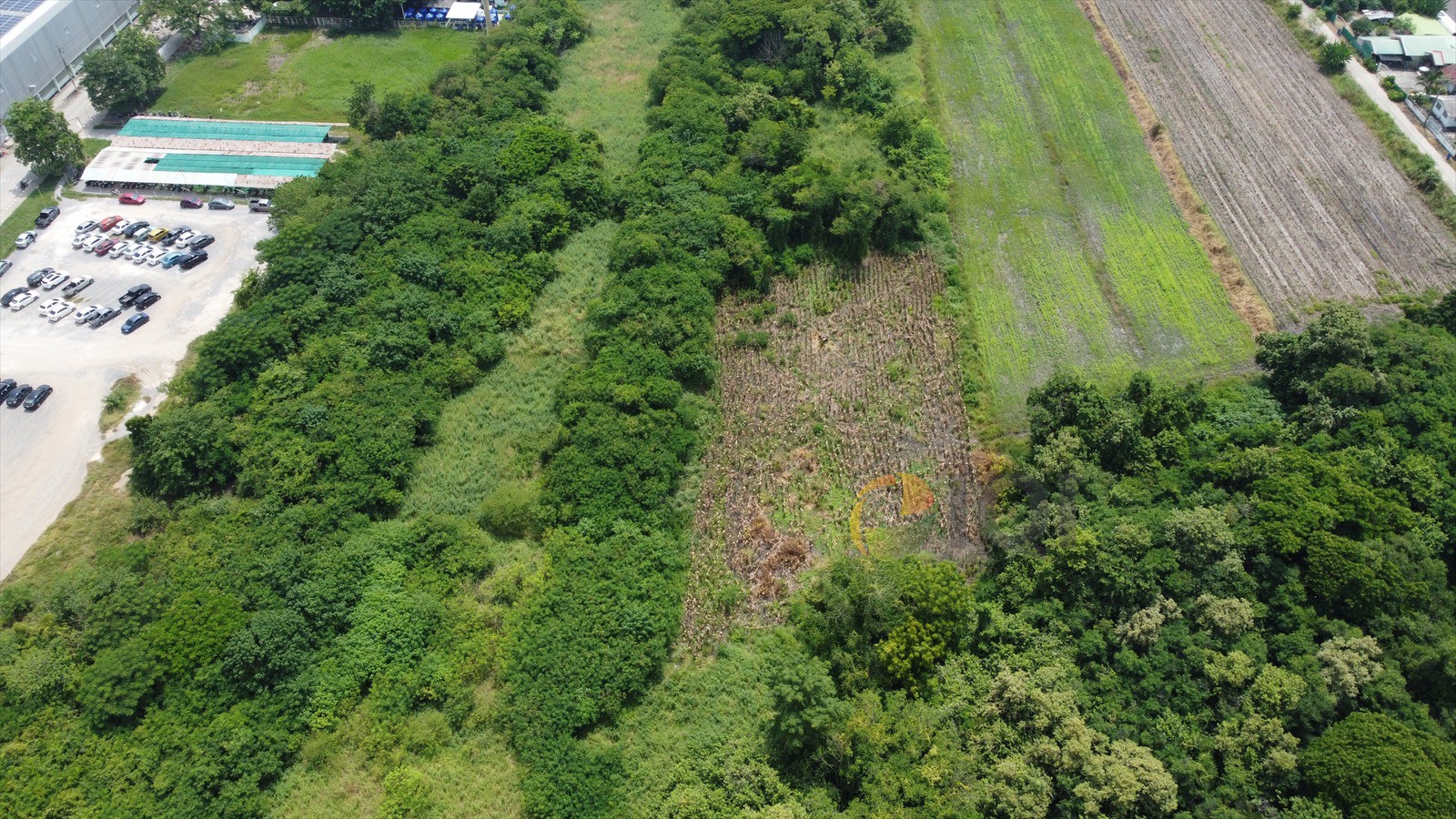 Lopburi Land 21-1-78 rai for sale image