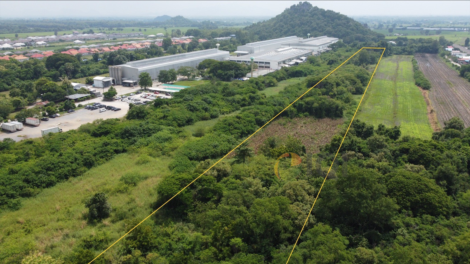 Lopburi Land 21-1-78 rai for sale image