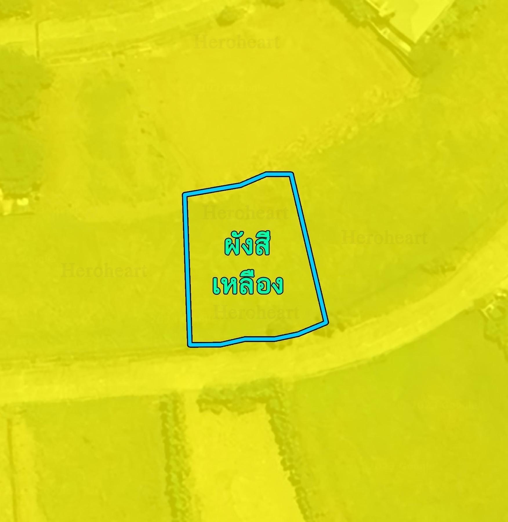 Vacant land for sale in village at rungsit image