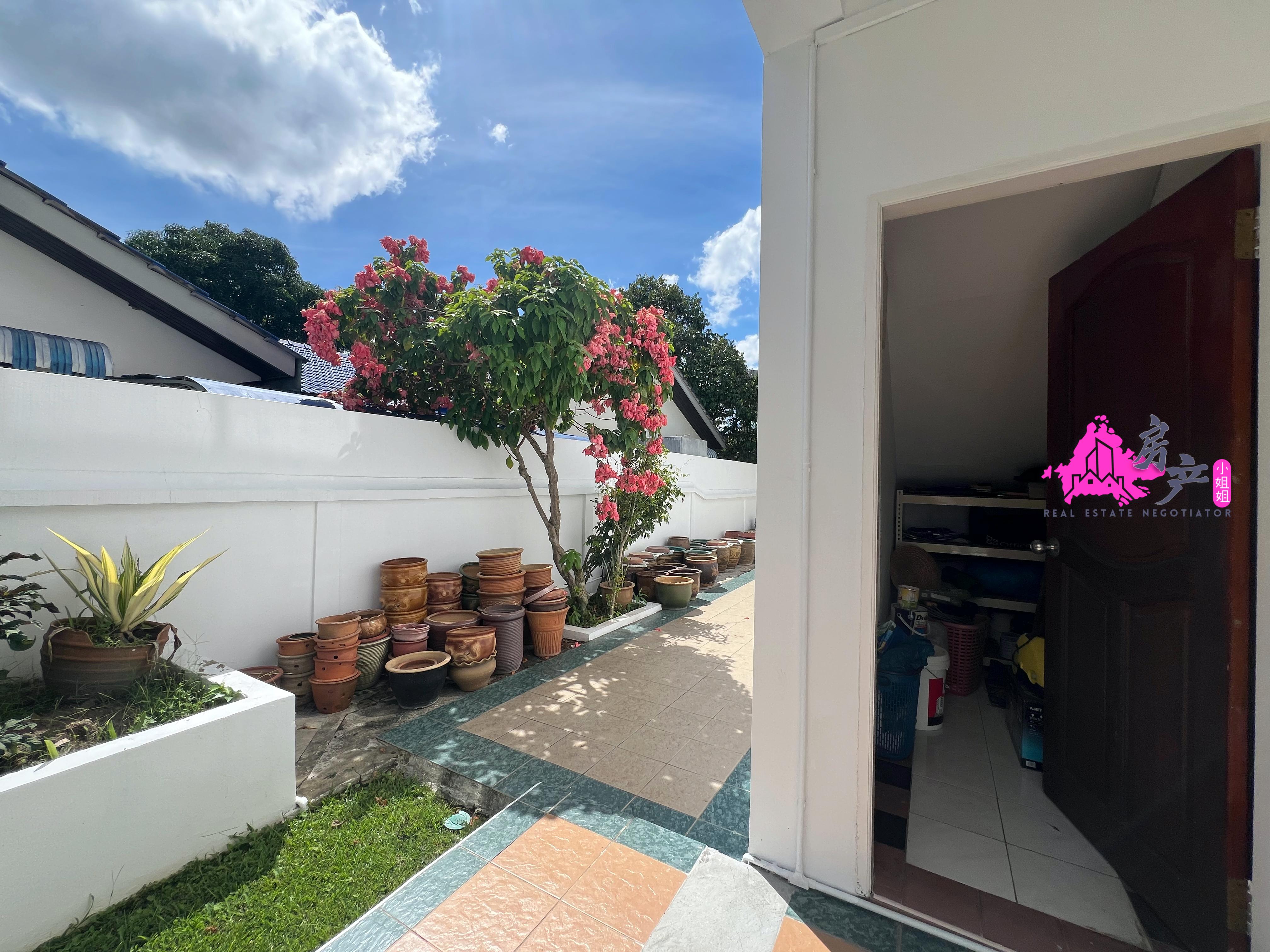 𝐓𝐀𝐌𝐀𝐍 𝐒𝐓𝐀𝐑𝐋𝐀𝐍𝐃 𝐏𝐄𝐍𝐀𝐌𝐏𝐀𝐍𝐆 𝐁𝐔𝐍𝐆𝐀𝐋𝐎𝐖 𝐊𝐎𝐓𝐀 𝐊𝐈𝐍𝐀𝐁𝐀𝐋𝐔 image