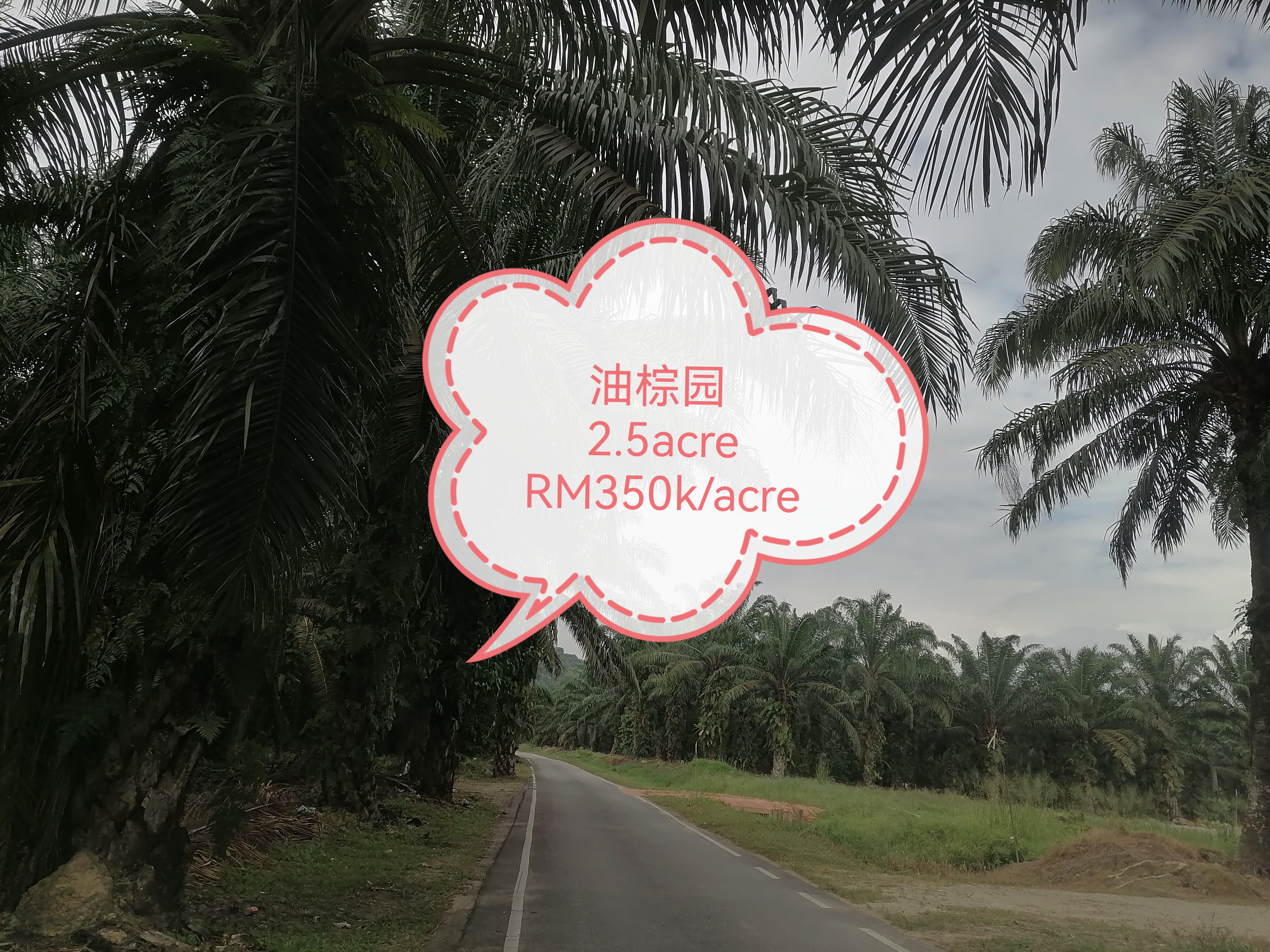 Agricultural land image