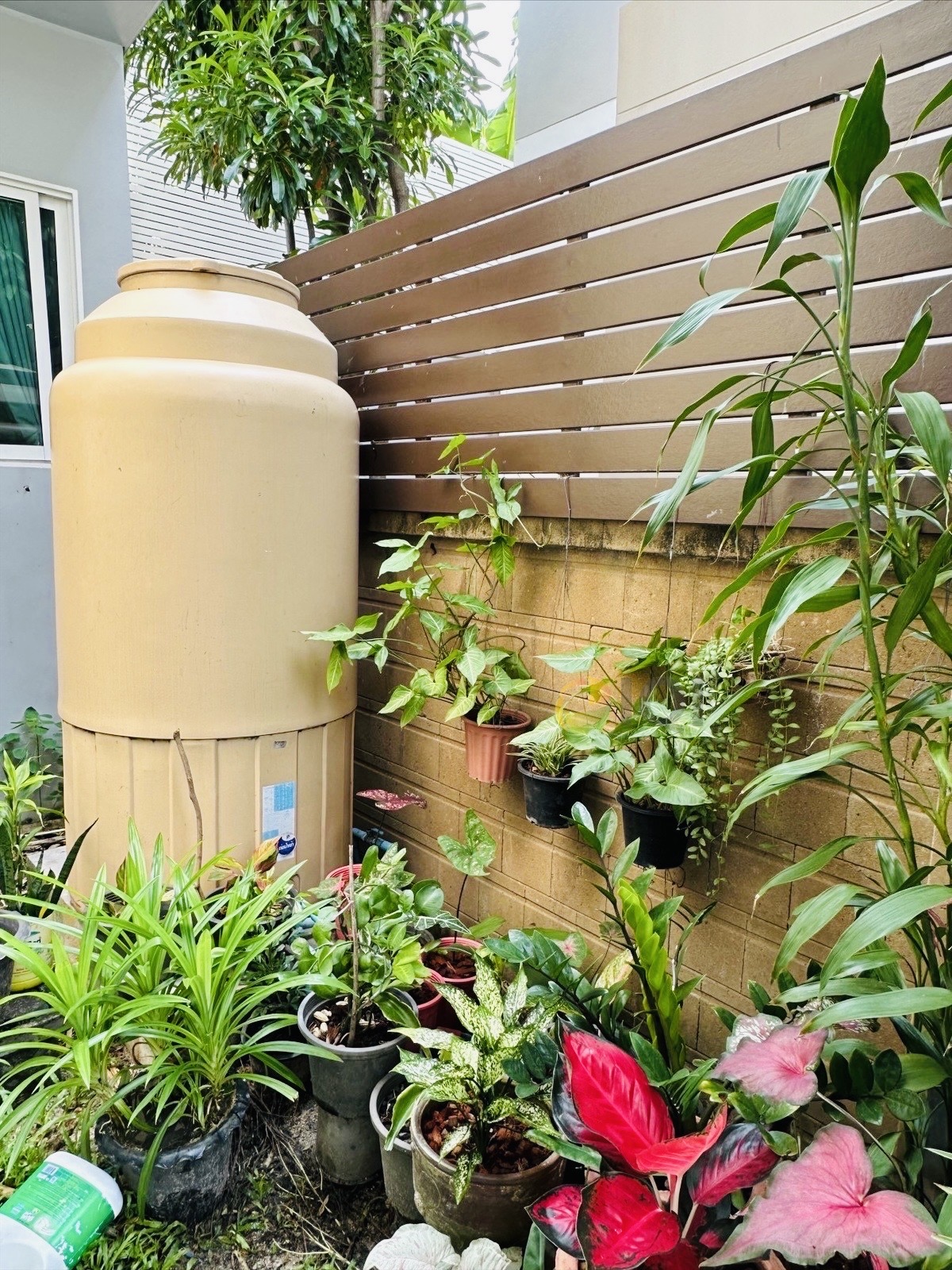 House for Casa Legend Kaset-Nawamin Ramintra 14 image