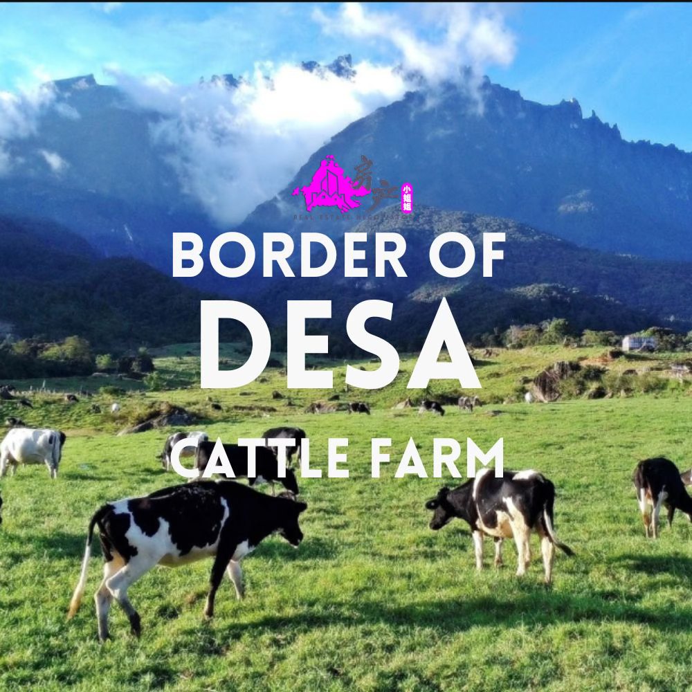 Kundasang Ranau Mt Kinabalu View land Sabah image