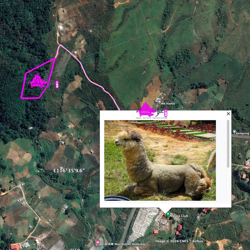 Kundasang Ranau Mt Kinabalu View land Sabah image