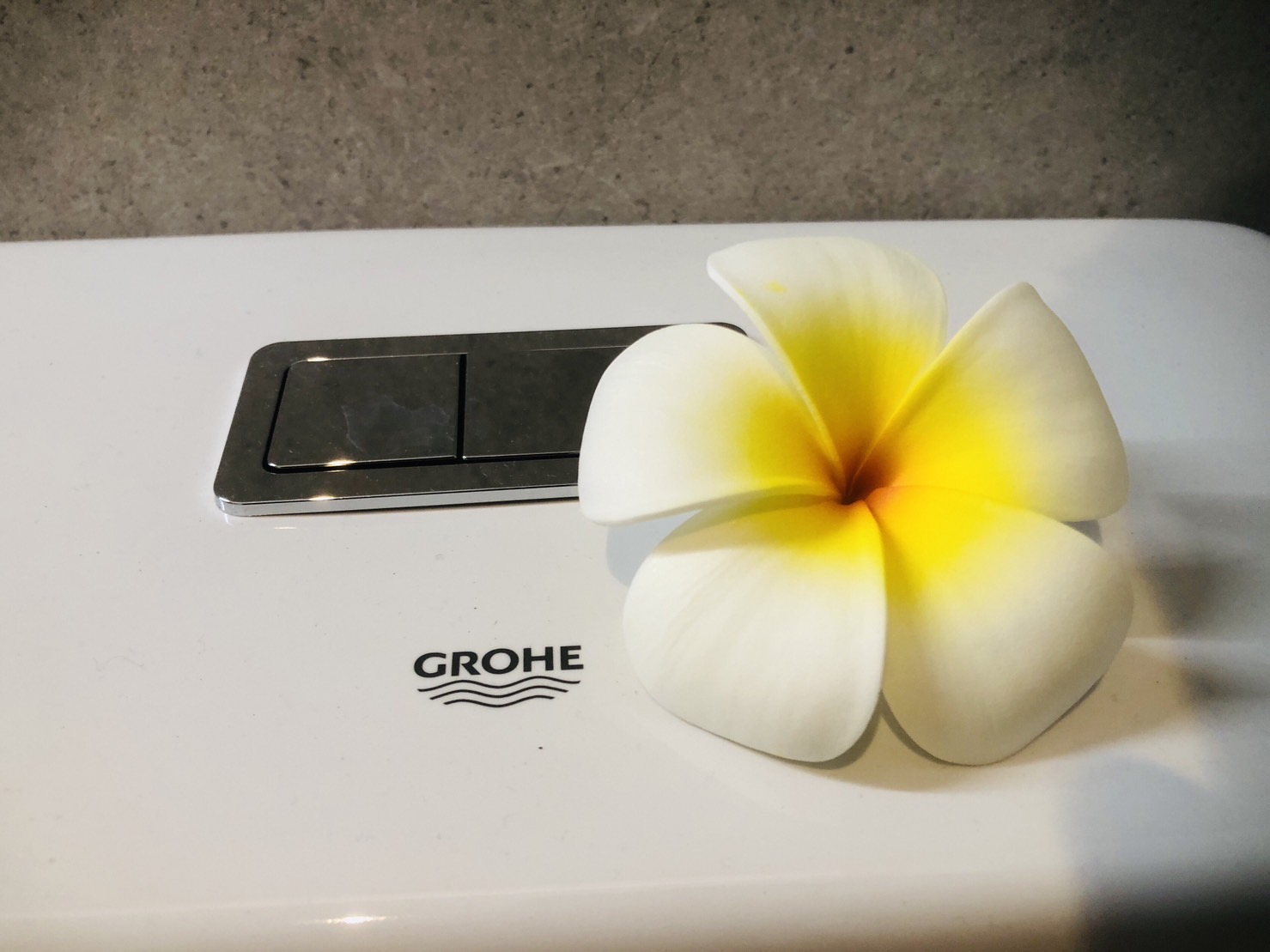 Luxury 4 bedroom 5 bathroom Erawana villa (SUP-1142) image