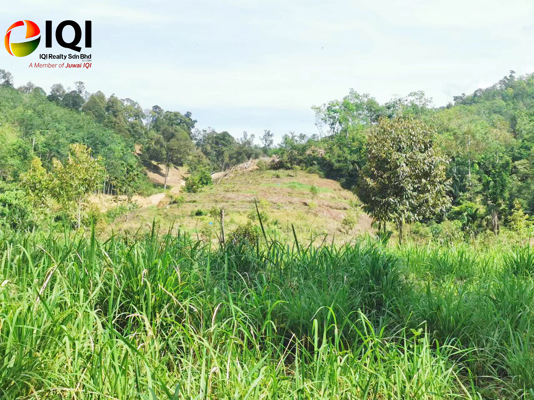 kedah kulim junjung image