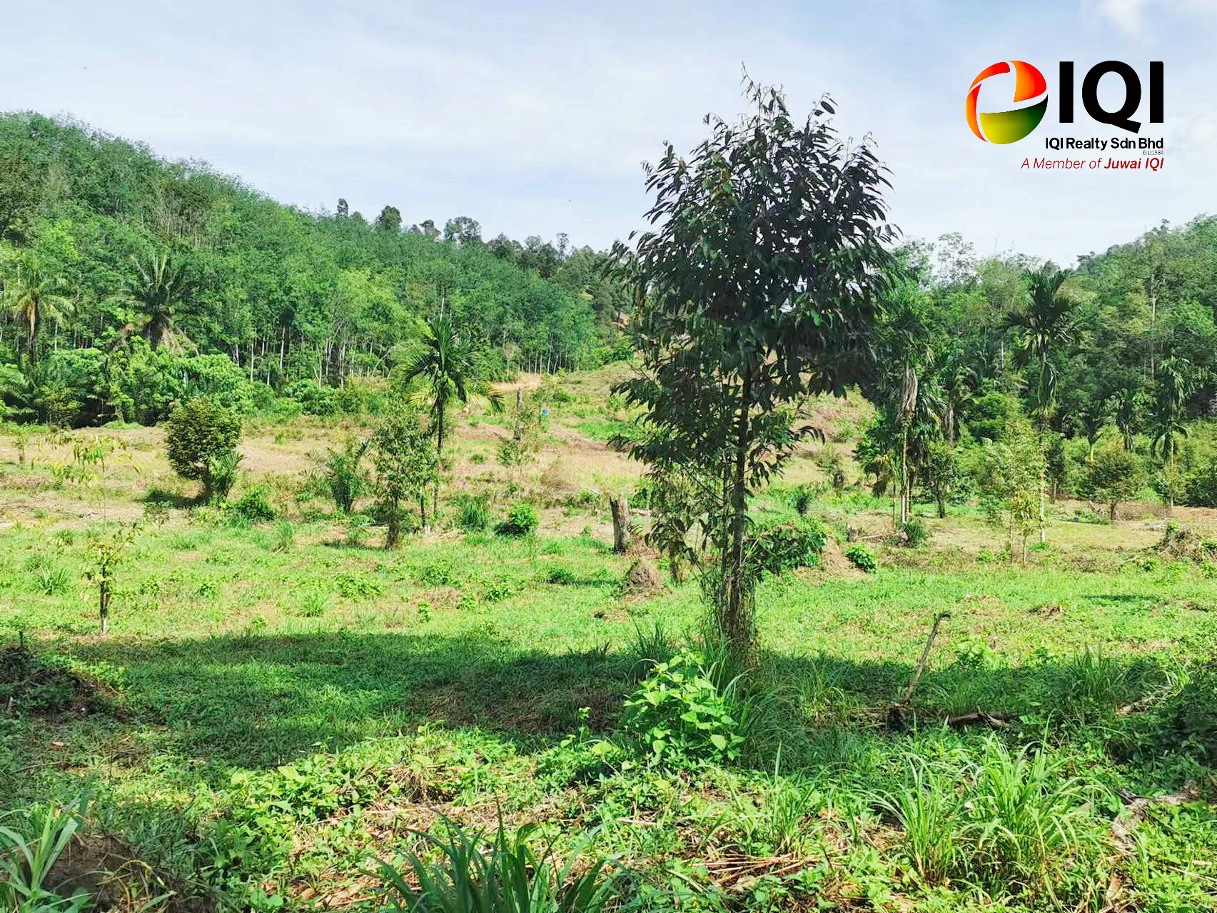 kedah kulim junjung image