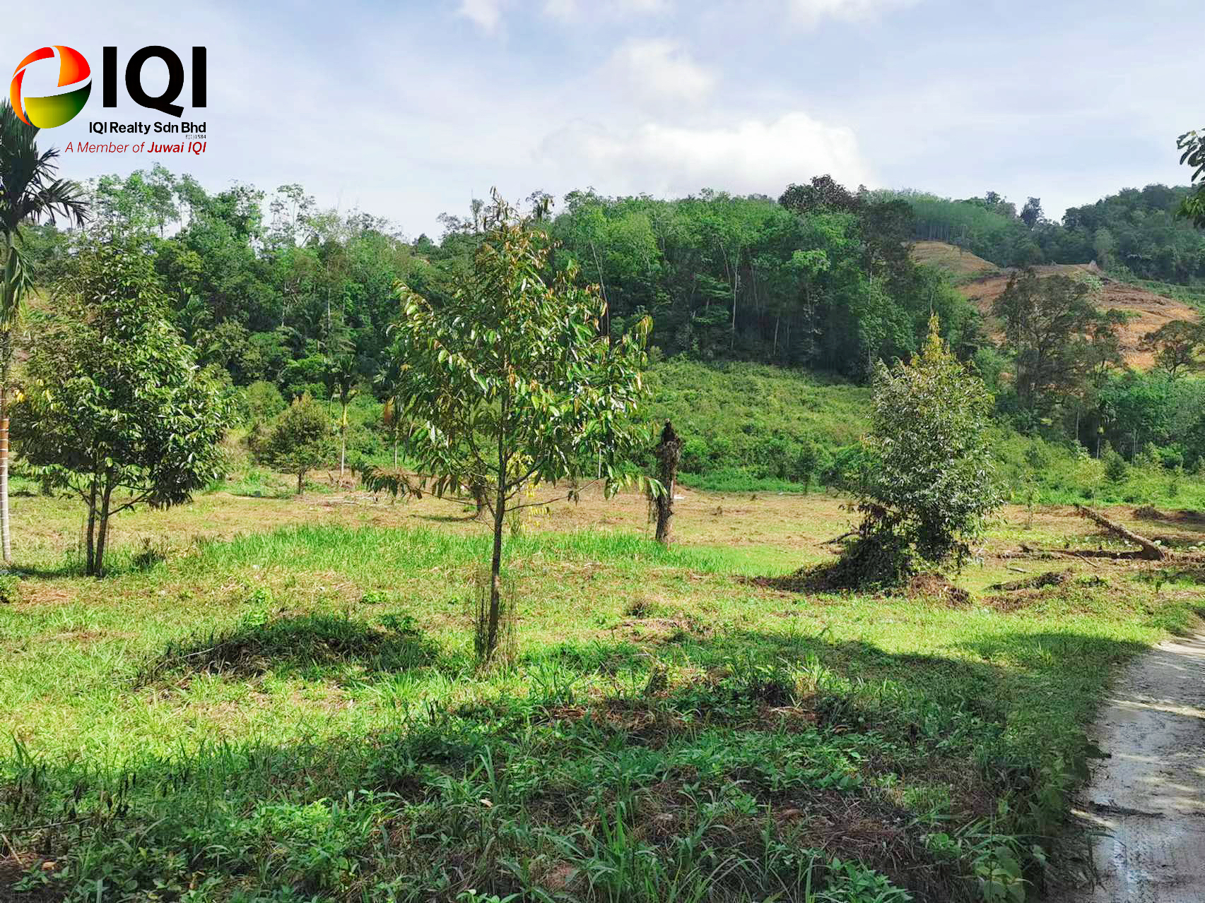 kedah kulim junjung image