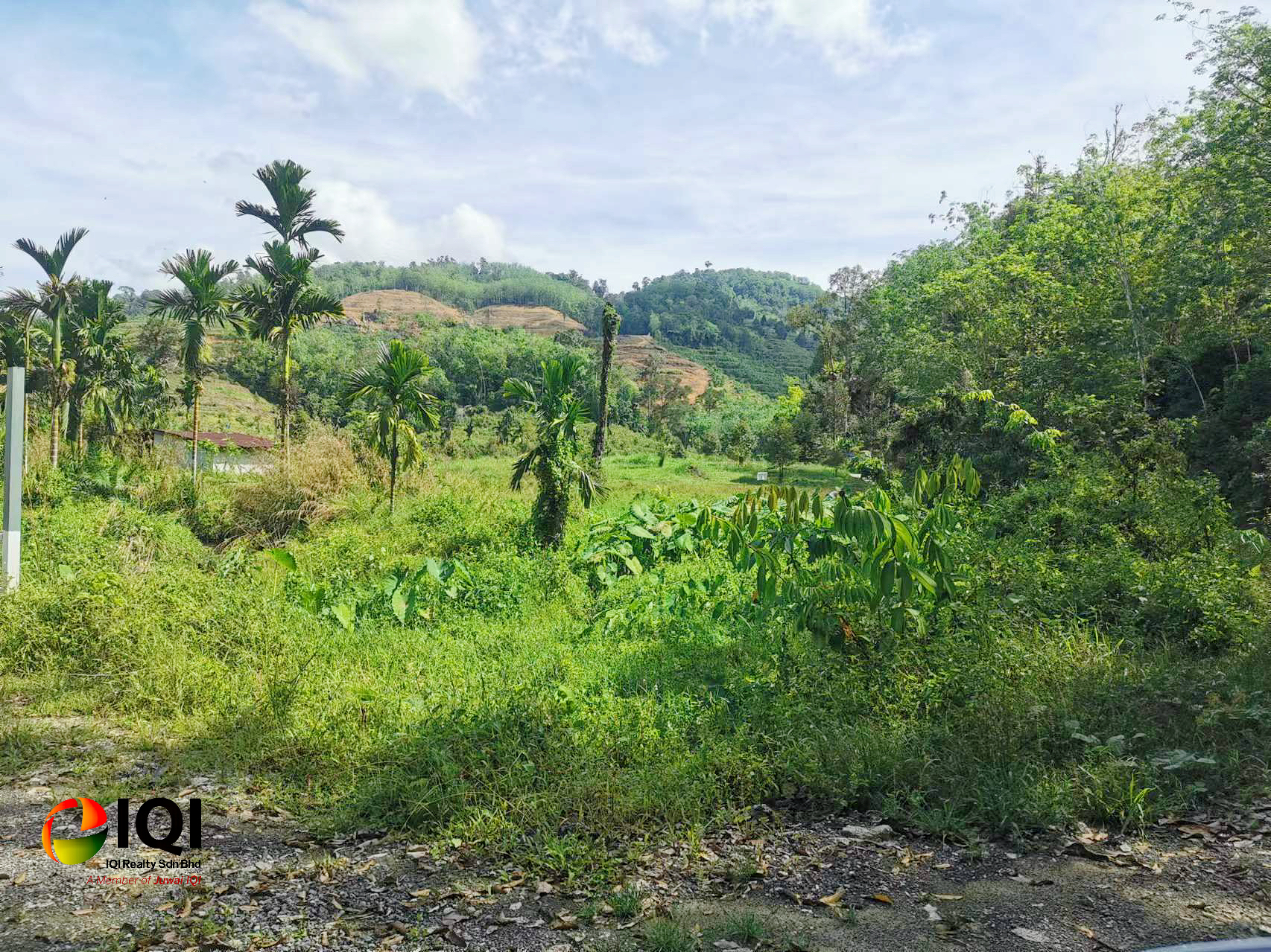 kedah kulim junjung image