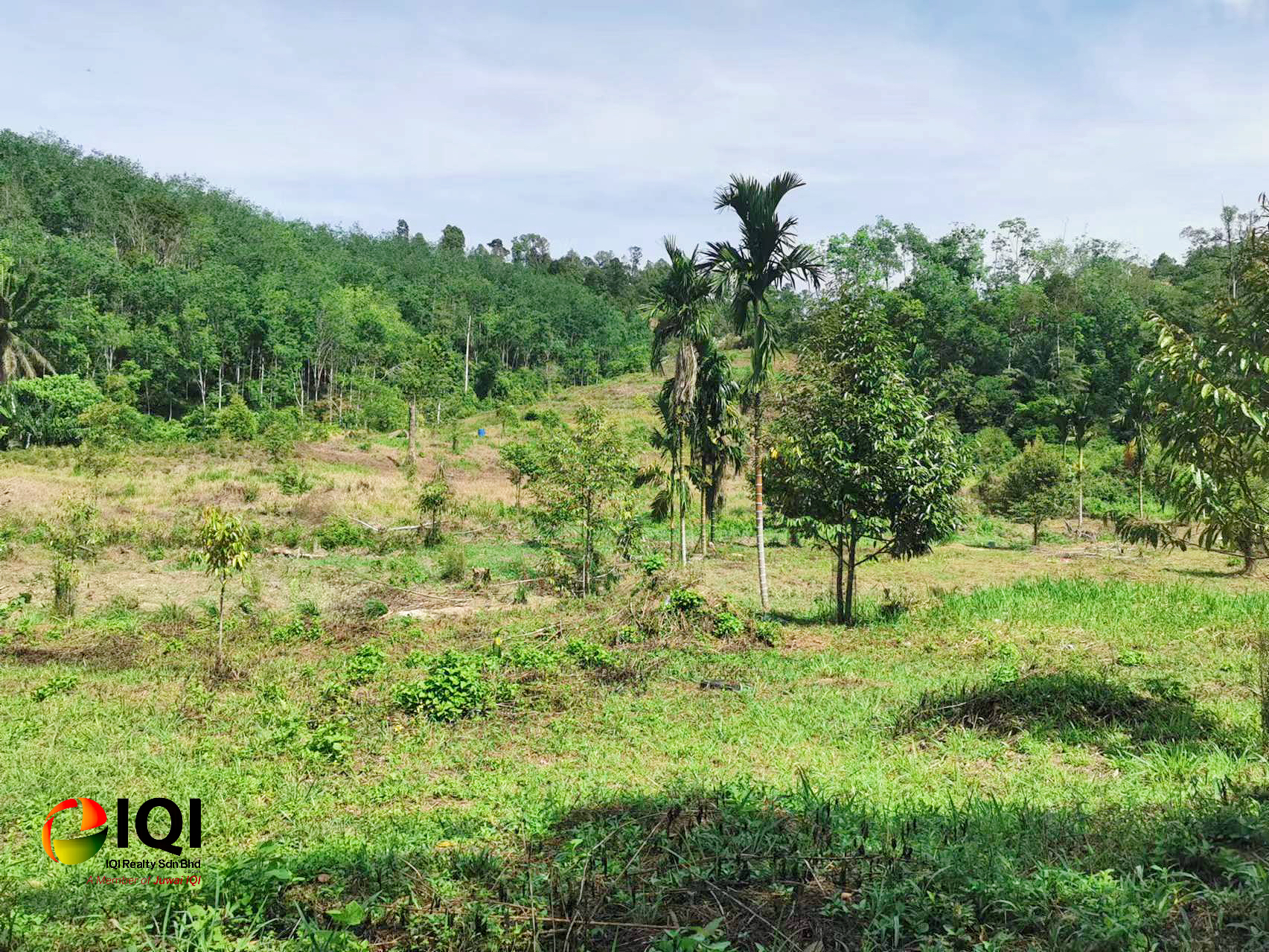 kedah kulim junjung image