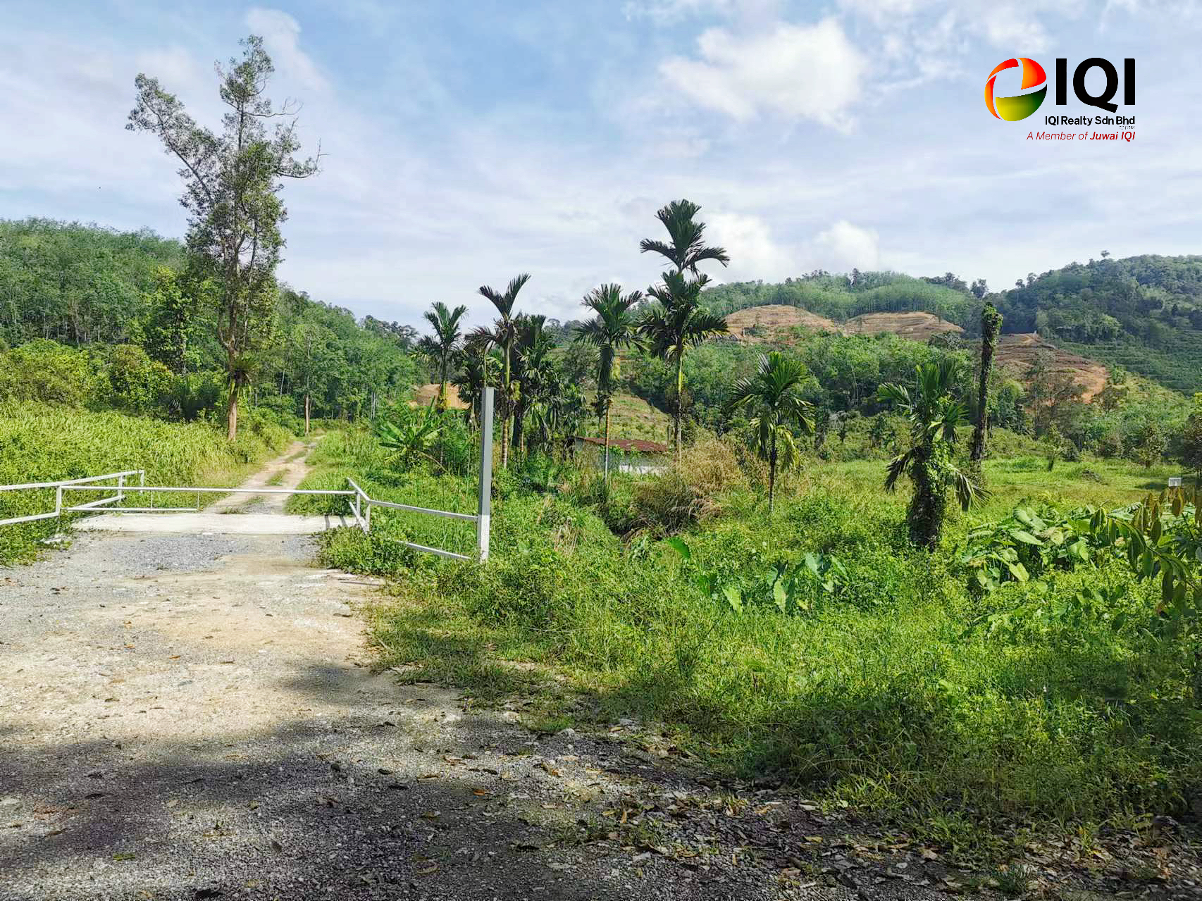 kedah kulim junjung image