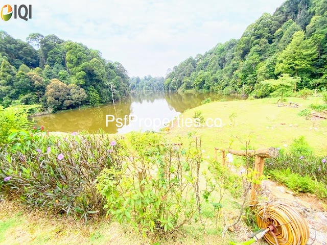 Perdana Heights image