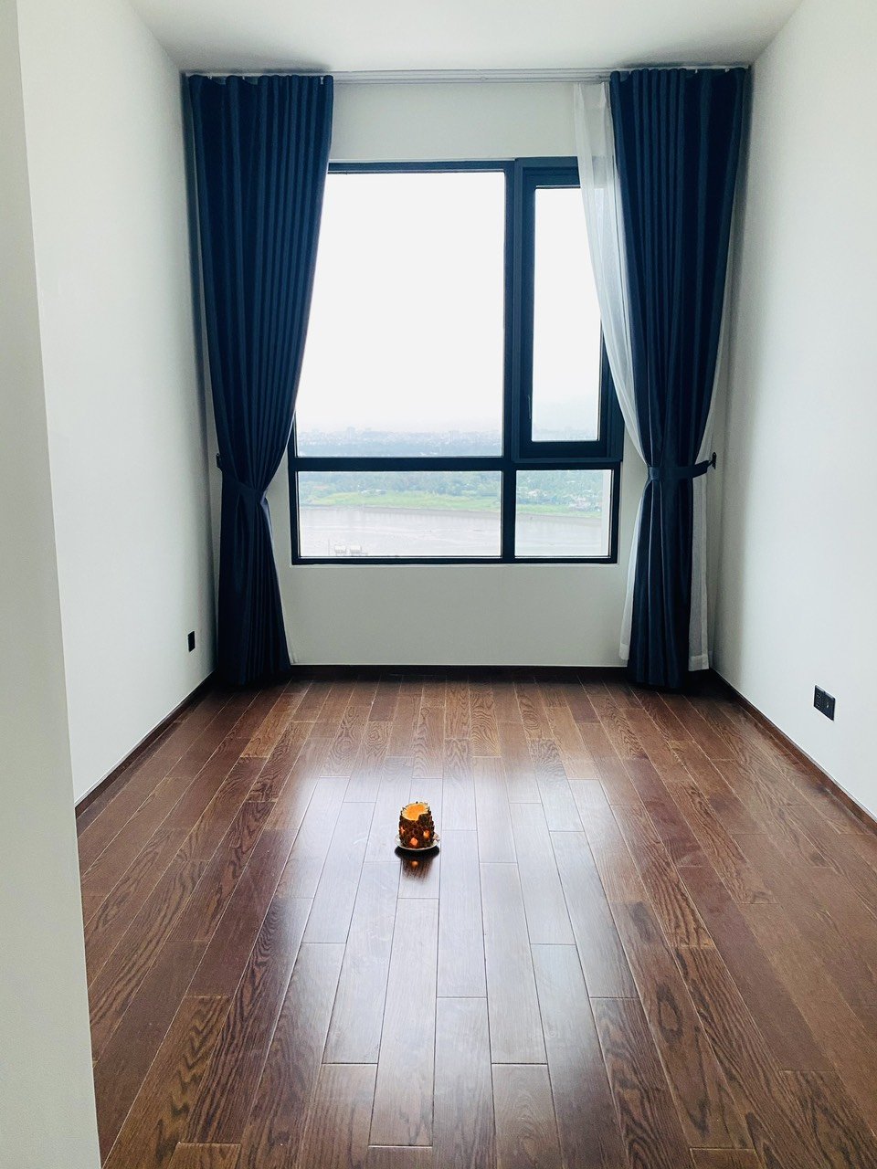 D'EDGE THAO DIEN, District 2, 4 bedrooms, Fully Furnished image