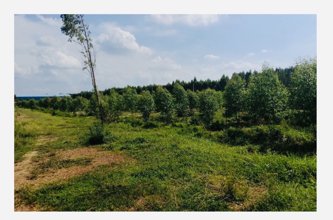 Empty land for sale Krok Sombun Subdistrict Si Maha Phot District, Prachinburi Province  image