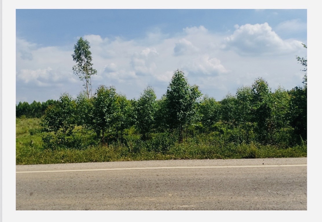 Empty land for sale Krok Sombun Subdistrict Si Maha Phot District, Prachinburi Province  image