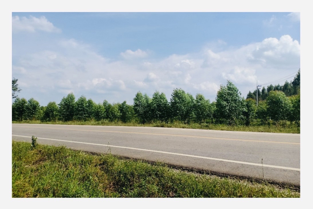 Empty land for sale Krok Sombun Subdistrict Si Maha Phot District, Prachinburi Province  image