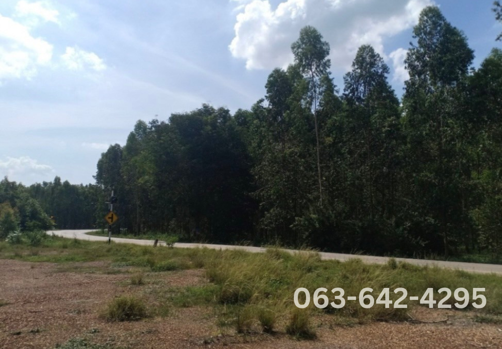 Empty land for sale Prachinburi Province. image