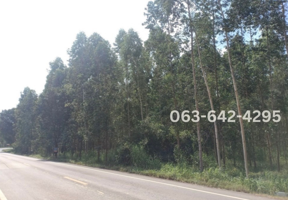 Empty land for sale Prachinburi Province. image