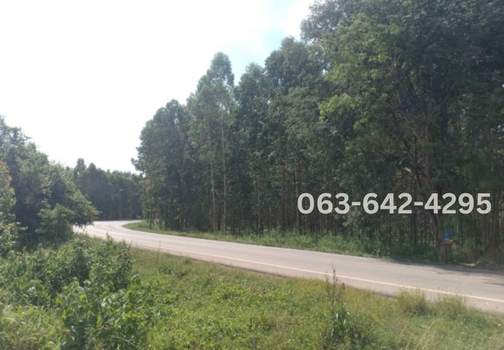 Empty land for sale Prachinburi Province. image