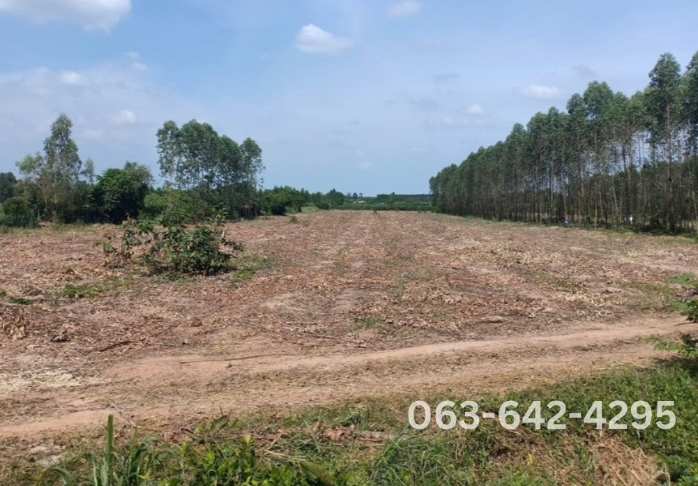 Empty land for sale Prachinburi Province. image