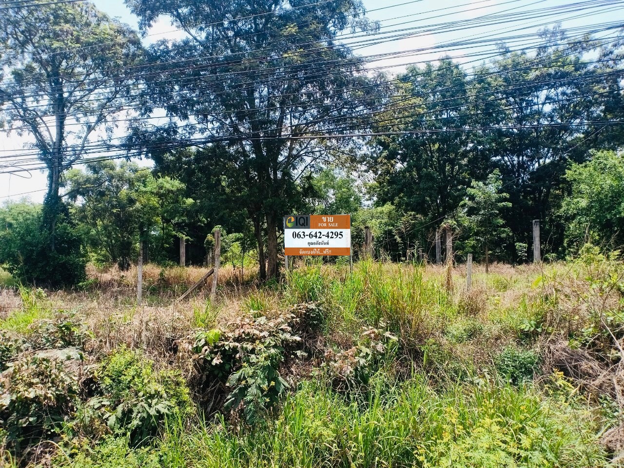 Empty land for sale purple space at Chachoengsao-Kabinburi Road  image