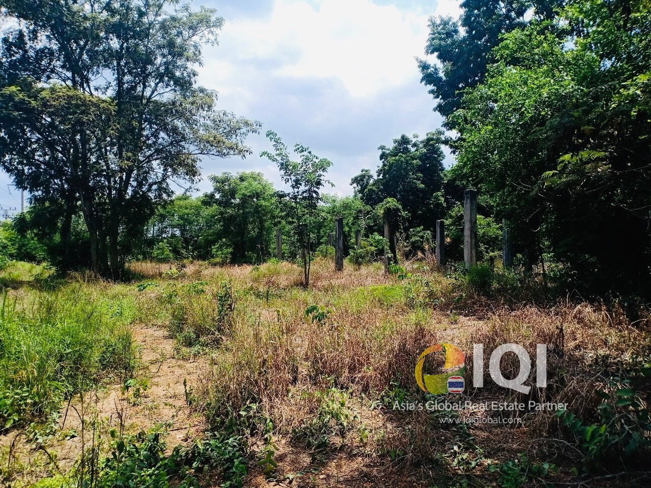 Empty land for sale purple space at Chachoengsao-Kabinburi Road  image