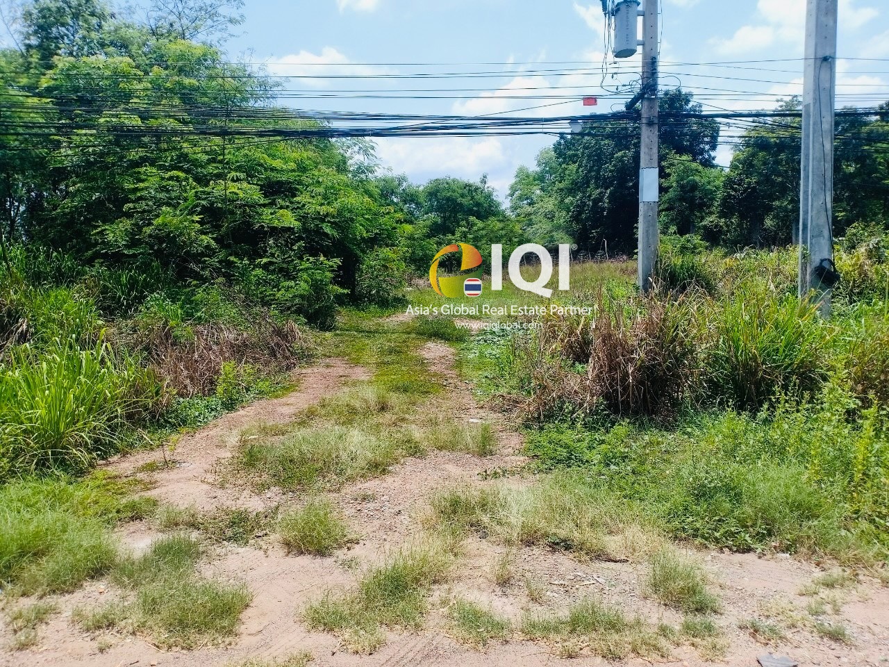 Empty land for sale purple space at Chachoengsao-Kabinburi Road  image