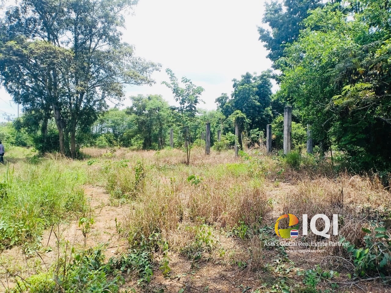 Empty land for sale purple space at Chachoengsao-Kabinburi Road  image