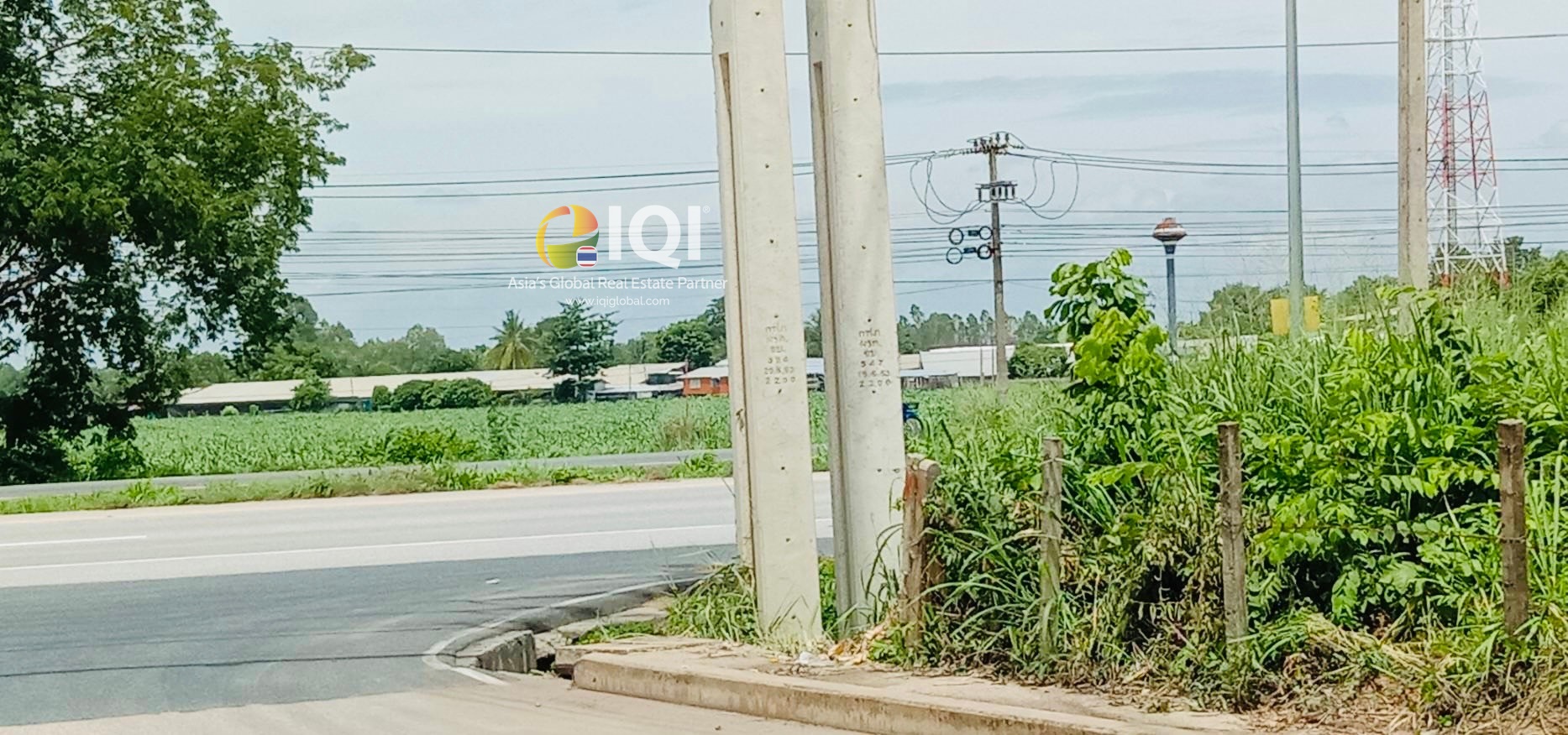 Empty land for sale purple space at Chachoengsao-Kabinburi Road  image