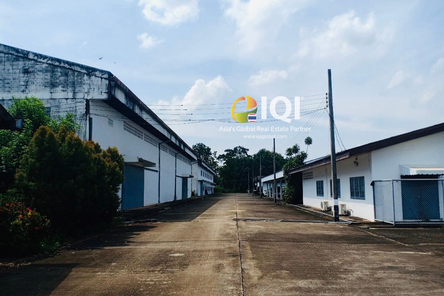 Factory or warehouse for sale, factory or warehouse Si Maha Phot District Prachinburi Province (a purple area) image