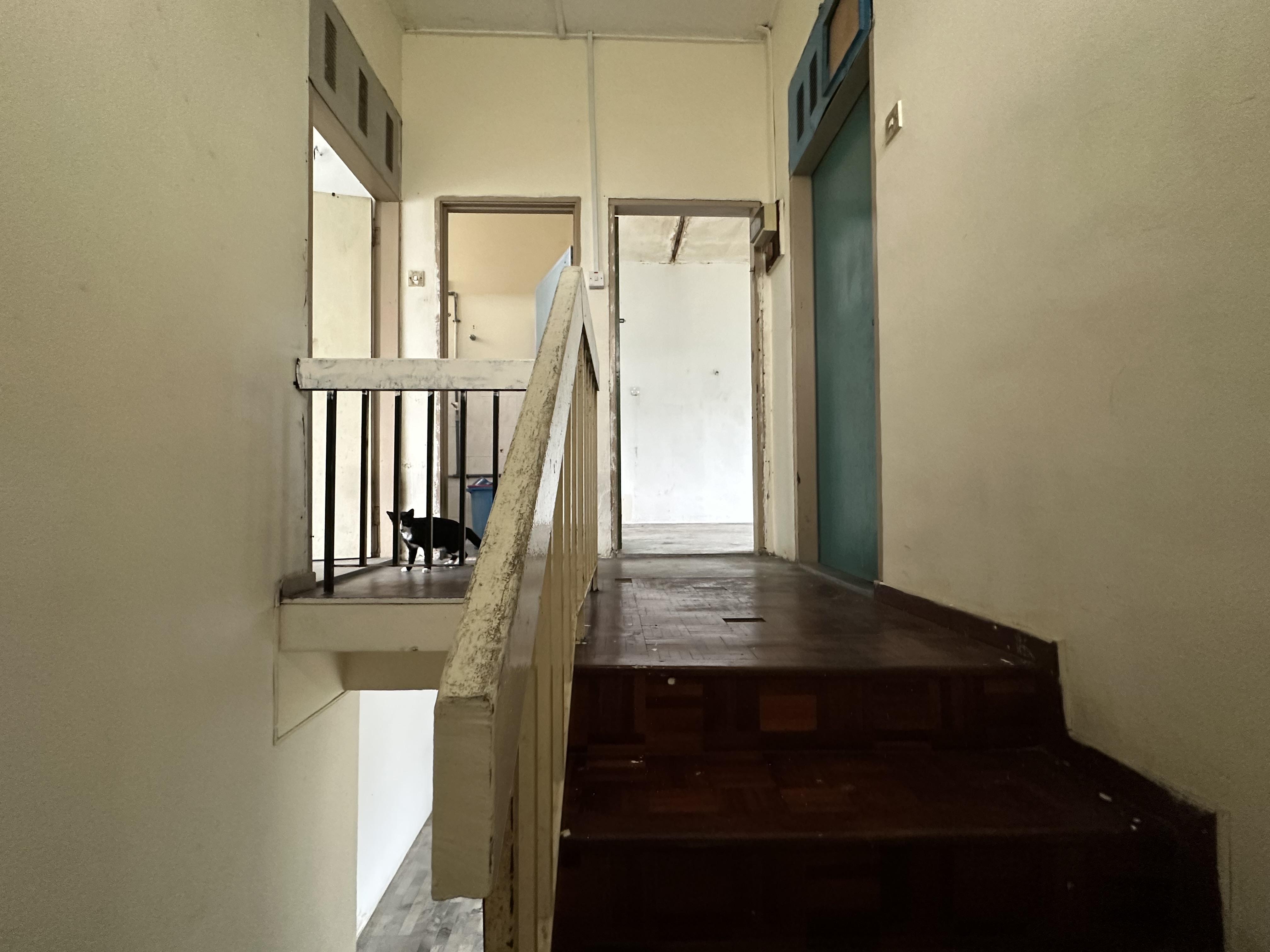 Taman Sri Bahagia Tampoi Double Storey Corner Lot for Sale image