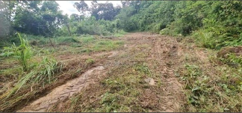 balik pulau land for sale penangg