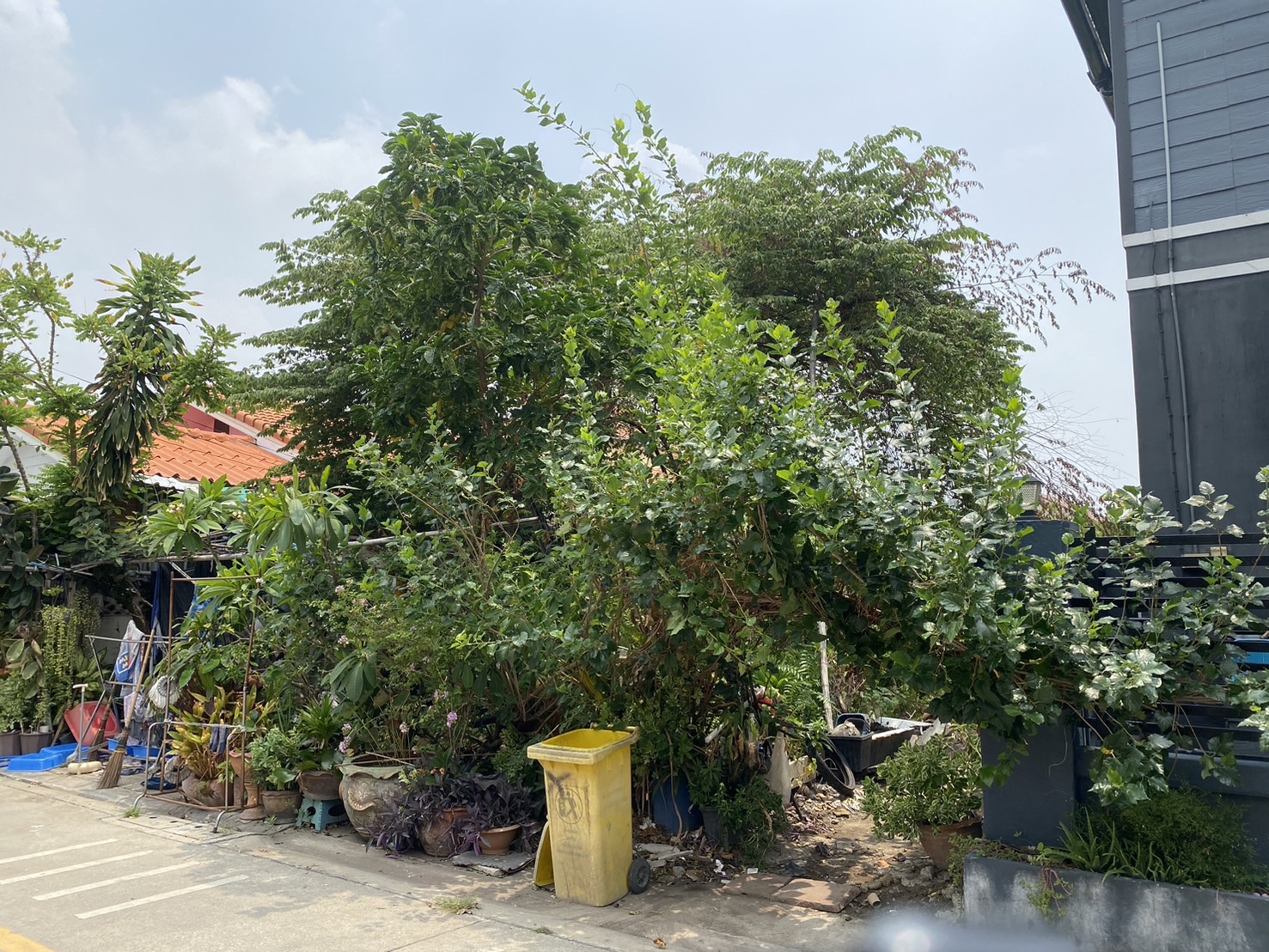  Land for sale in Don Mueang, size 50 square wah, Soi Saranakom 25, Intersection 3 (Soi Muban Pincharoen 1), suitable for building a house, cafe, and more. image