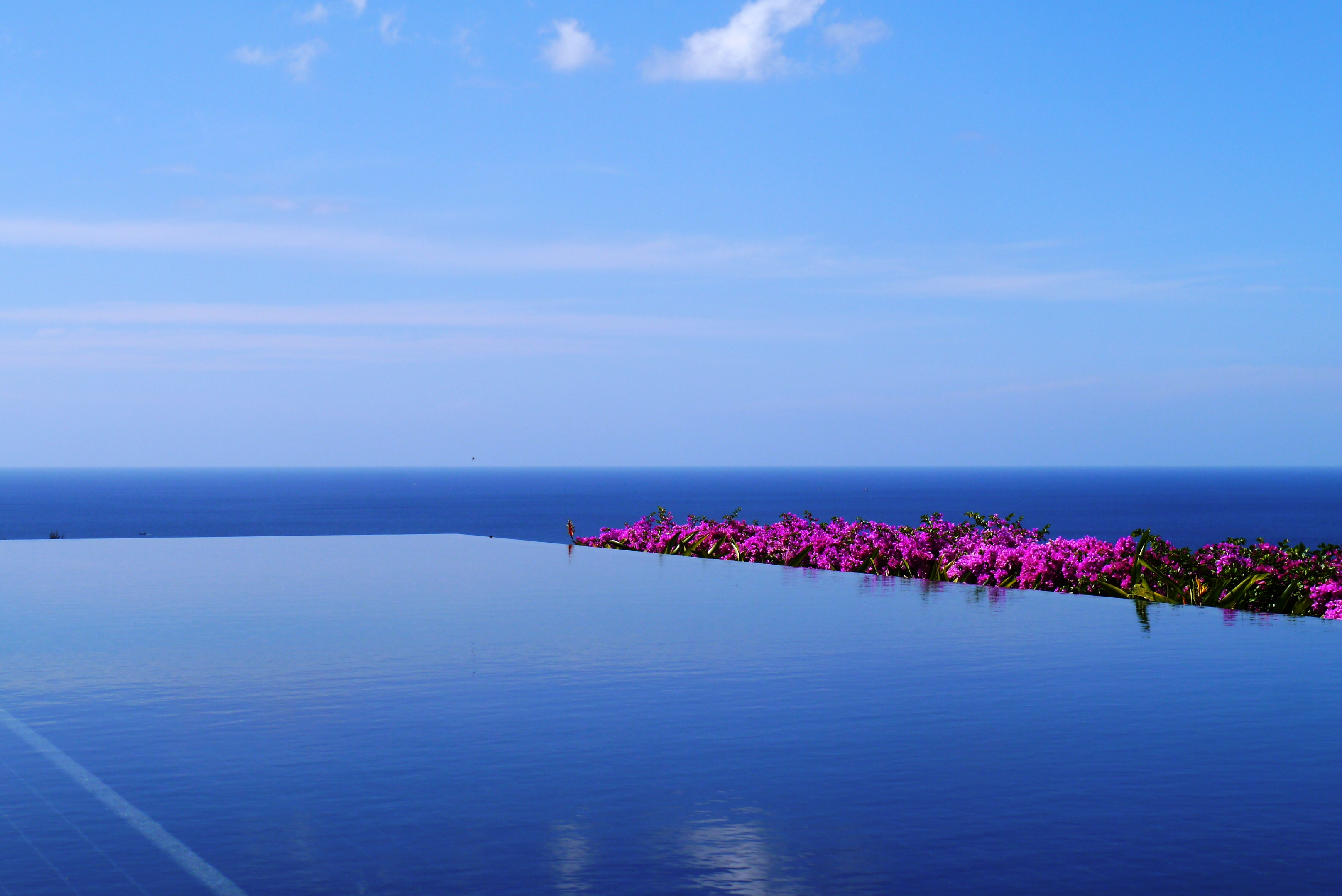 SUP72524-2🏠Luxury Sea View Pool Villa 28, 6Bedroom in Kamala Phuket image