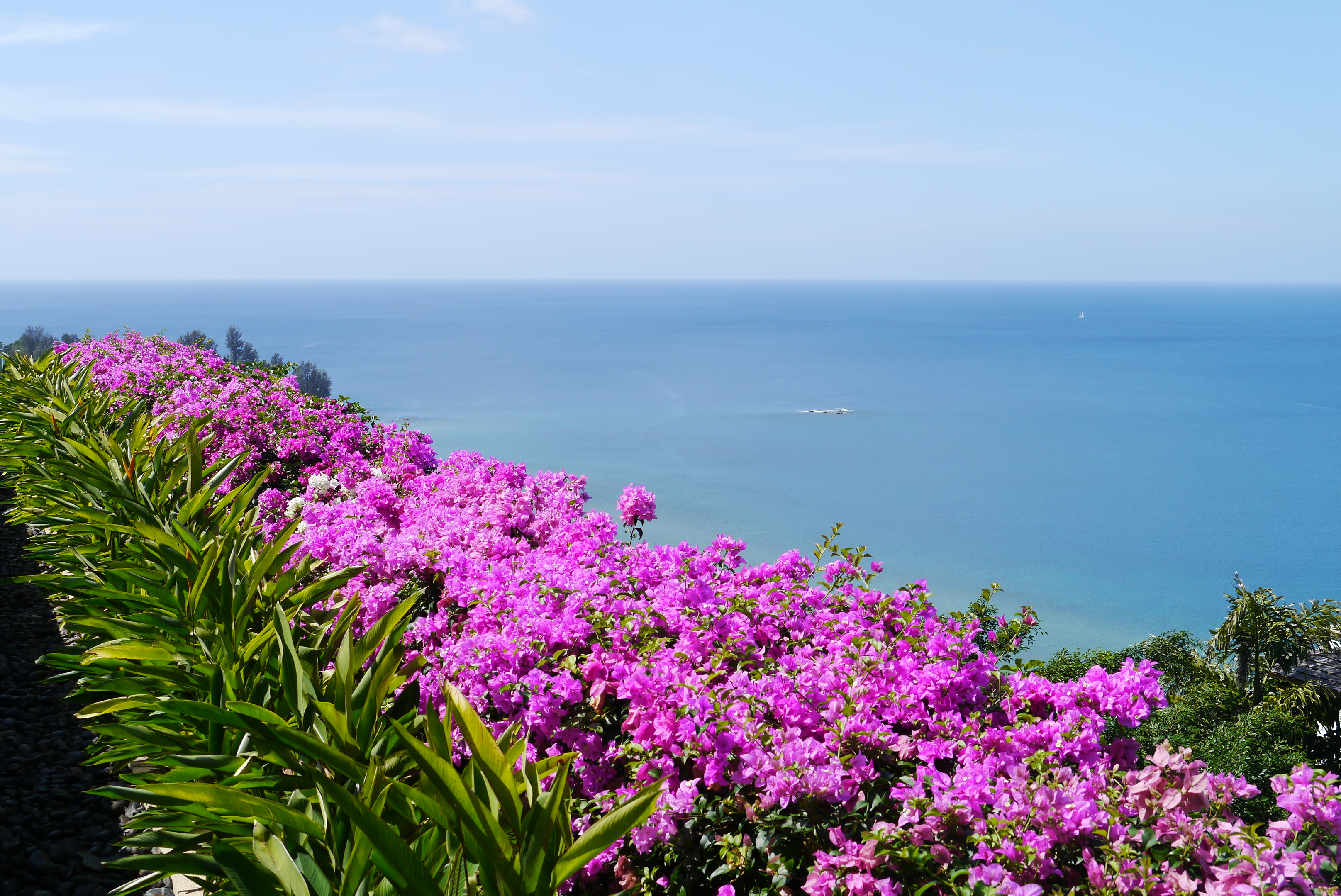 SUP72524-2🏠Luxury Sea View Pool Villa 28, 6Bedroom in Kamala Phuket image