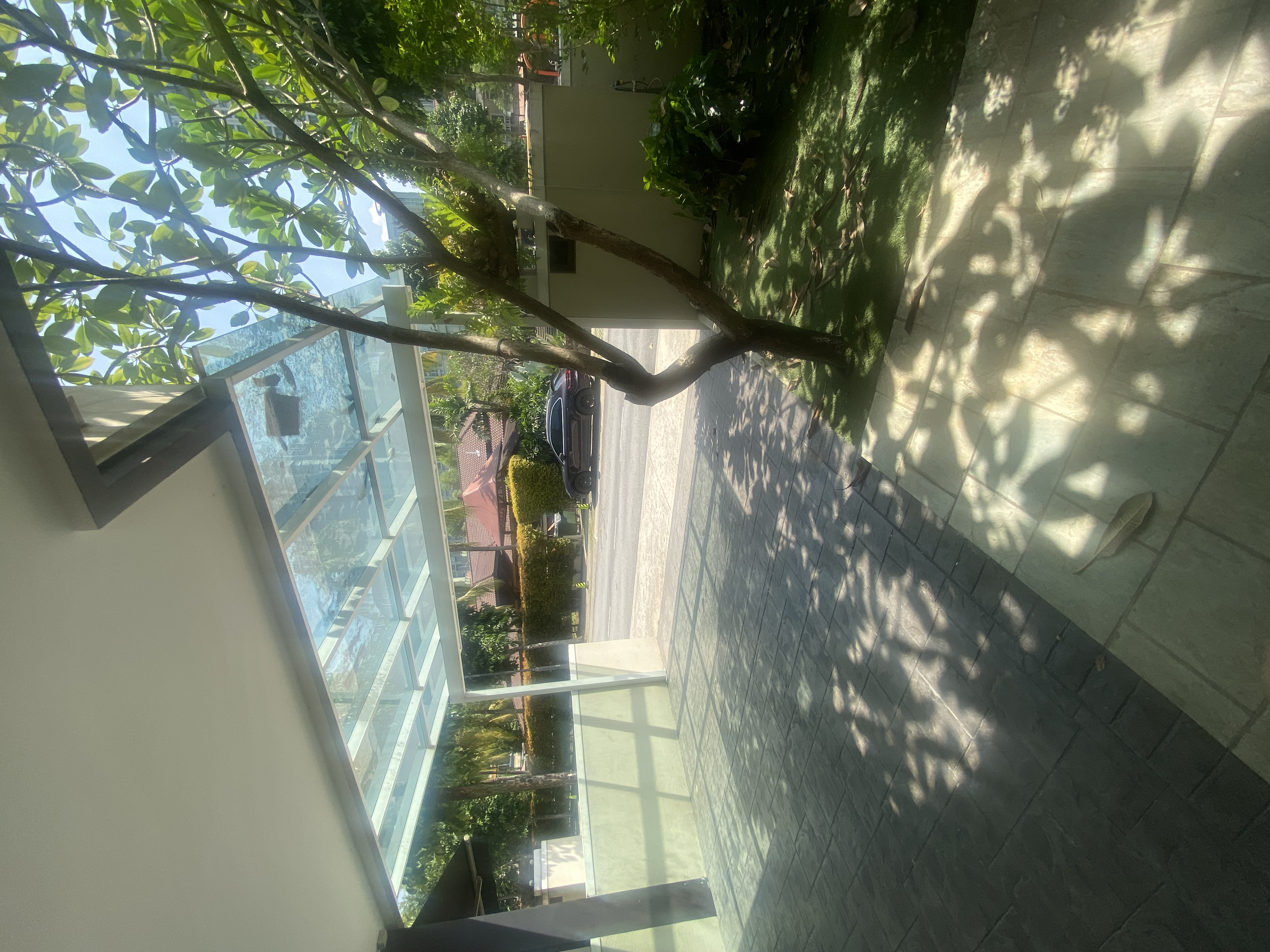 Duta Tropika image