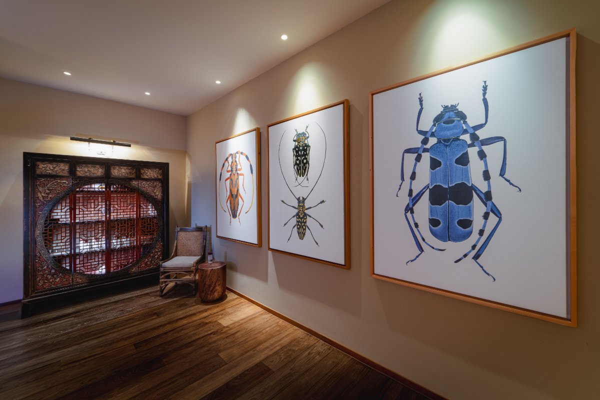 Stunning Ocean Front Super Villa on the Kamala Headland, Phuket image