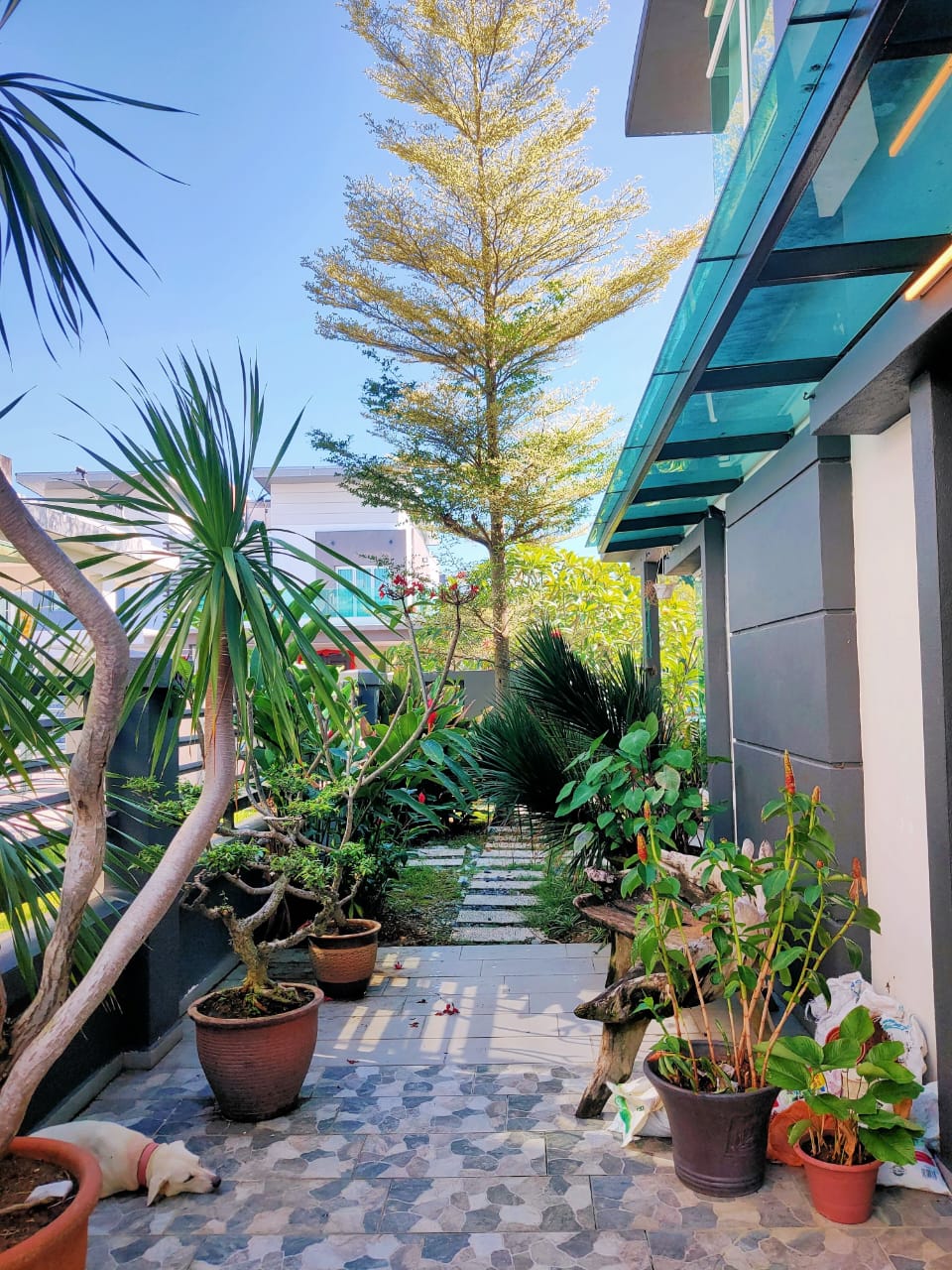 Ridgewood Canary Garden @ Bandar Bestari image