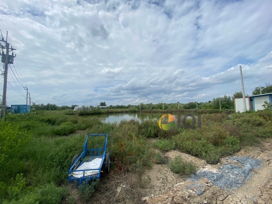 Selling vacant land, area 23 rai 3 ngan 81 square wah, Ban Khlong Suan Subdistrict, Phra Samut Chedi District image