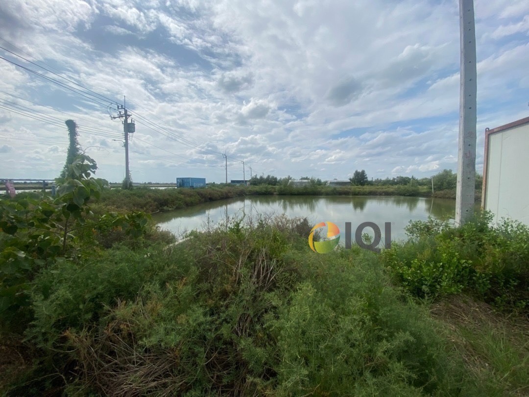 Selling vacant land, area 23 rai 3 ngan 81 square wah, Ban Khlong Suan Subdistrict, Phra Samut Chedi District image