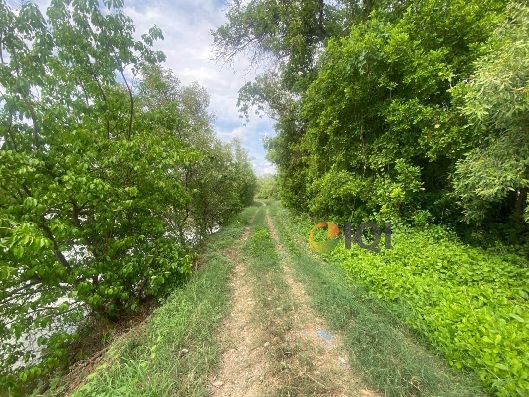 Selling vacant land, area 23 rai 3 ngan 81 square wah, Ban Khlong Suan Subdistrict, Phra Samut Chedi District image