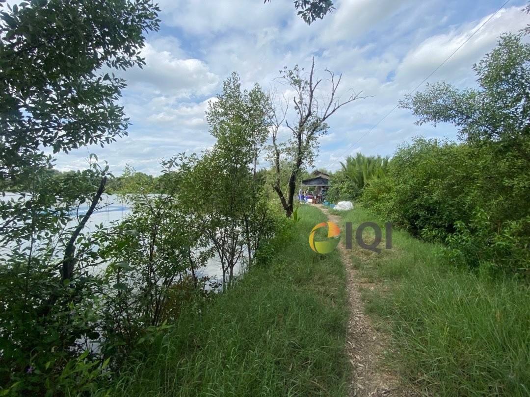 Selling vacant land, area 23 rai 3 ngan 81 square wah, Ban Khlong Suan Subdistrict, Phra Samut Chedi District image