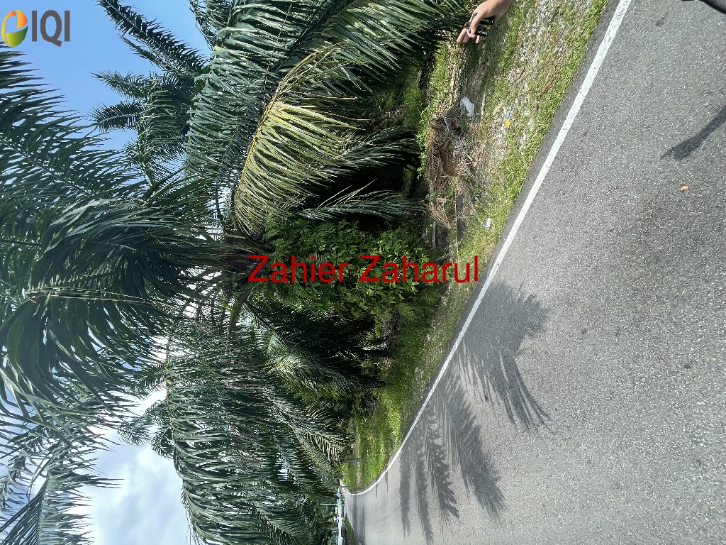 Agriculture Land Muar image