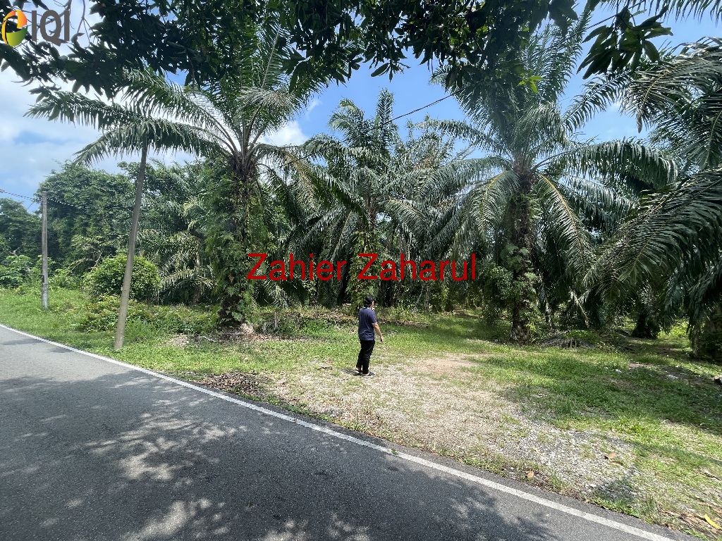 Agriculture Land Muar image