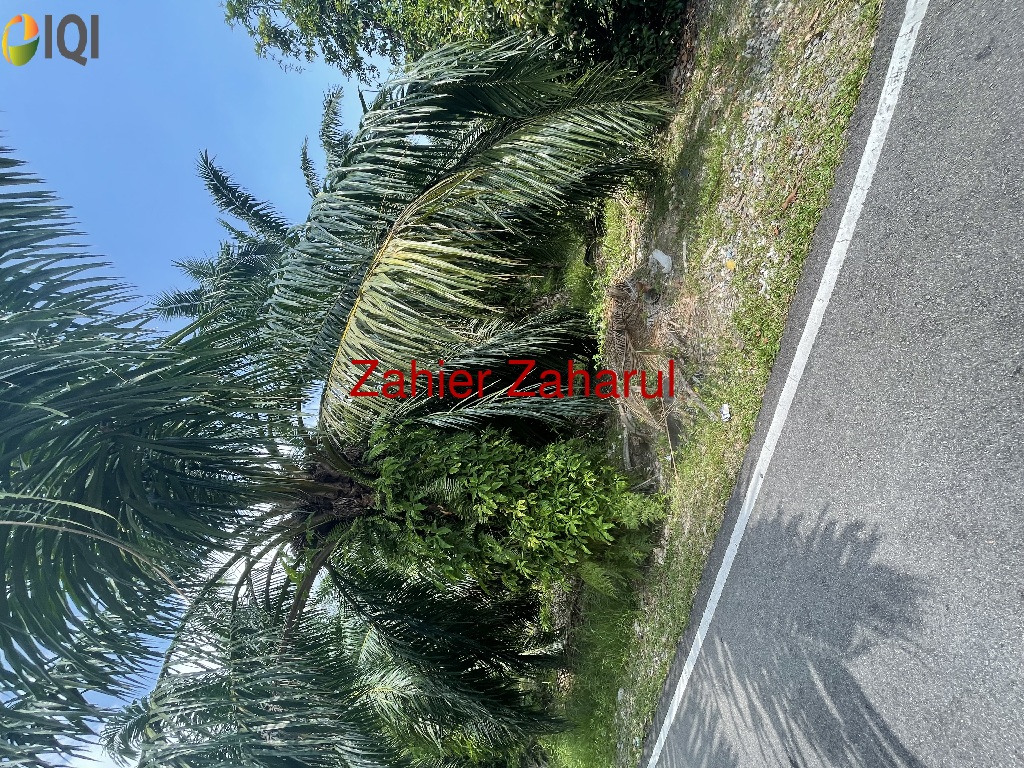 Agriculture Land Muar image