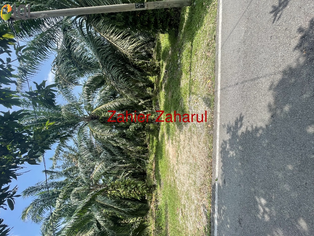 Agriculture Land Muar image