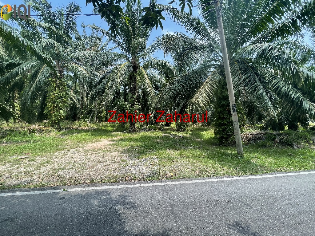 Agriculture Land Muar image