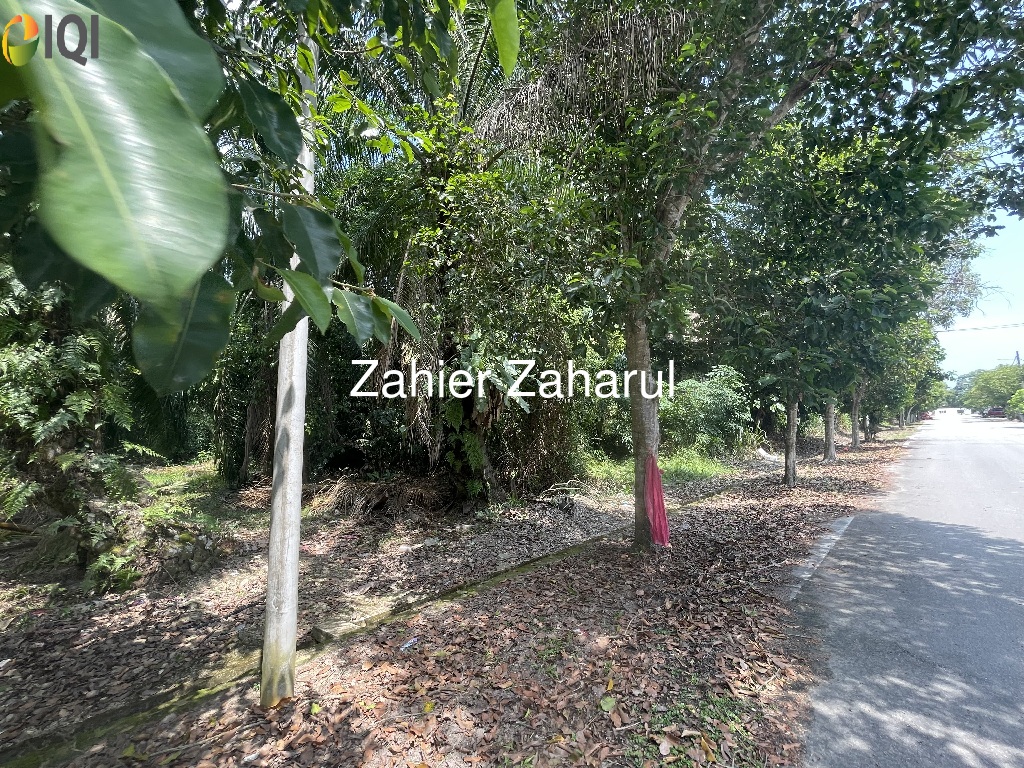 Agriculture Land Muar image